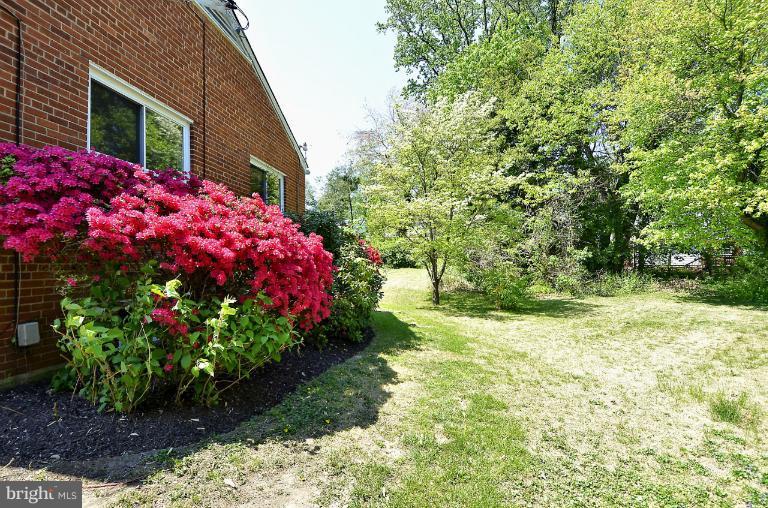 413 Dennis Avenue Silver Spring, MD 20901 - Photo 8 of 30 View
