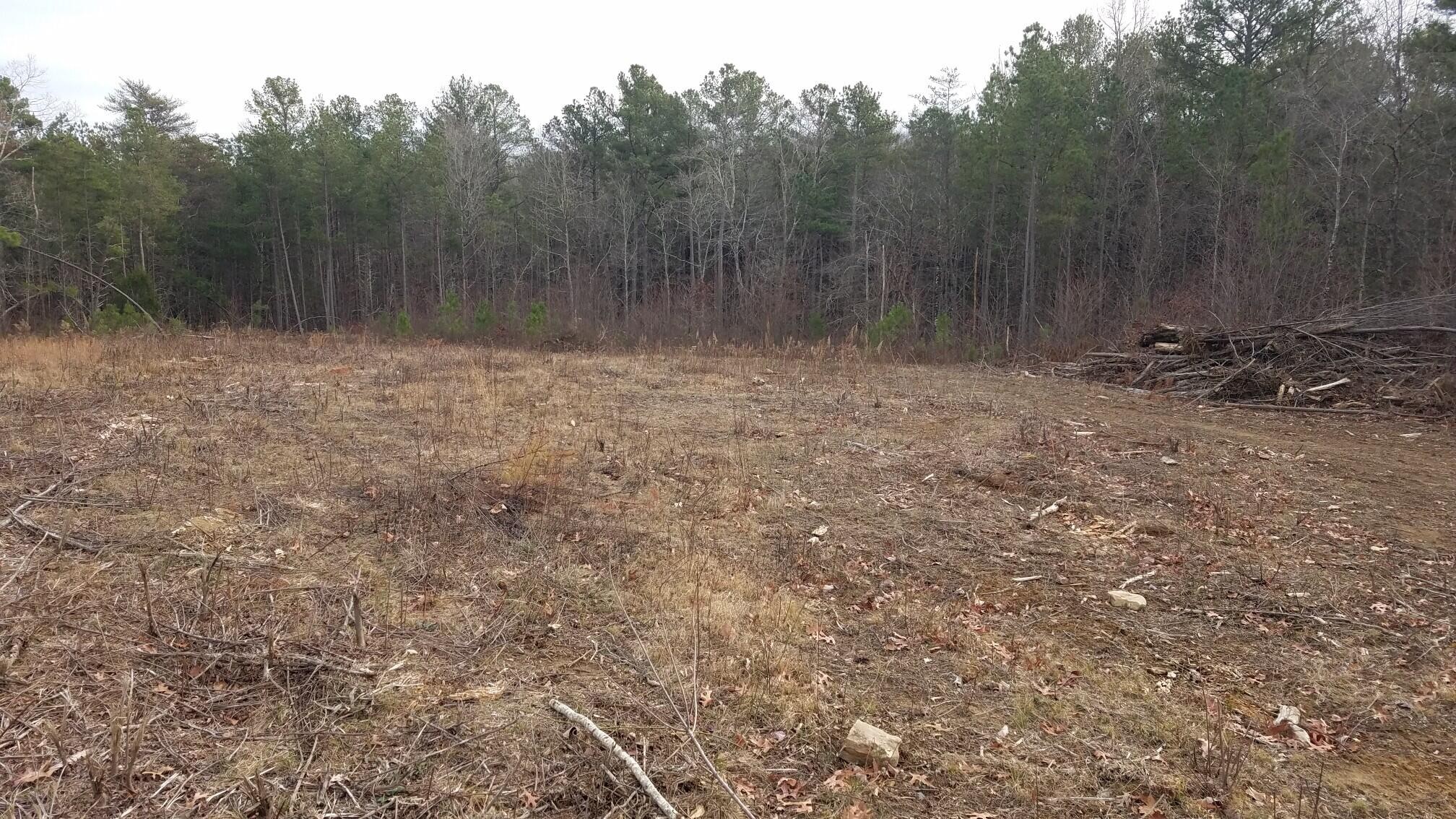 17 South R 399 Dunlap, TN 37327 - Photo 21 of 28 Gallery Image 21