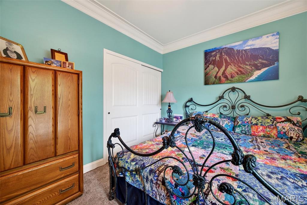 906 Daffodil Ridge Drive O'Fallon, MO 63366 - Photo 30 of 52