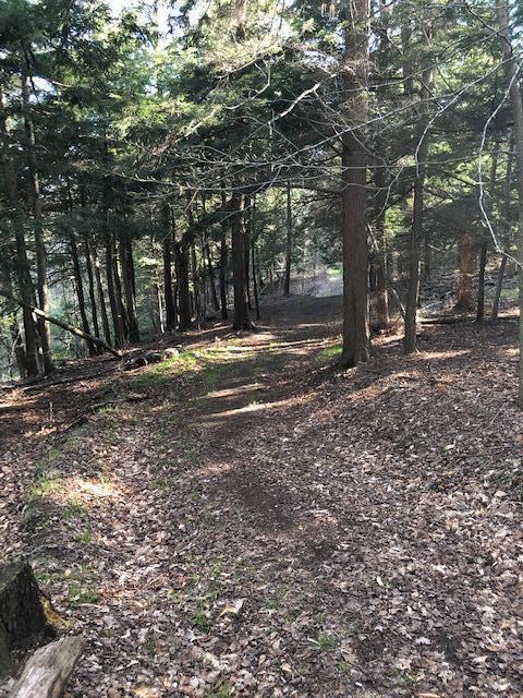 Vl West Webster Road Montague, MI 49437 - Photo 1 of 22 Land 1
