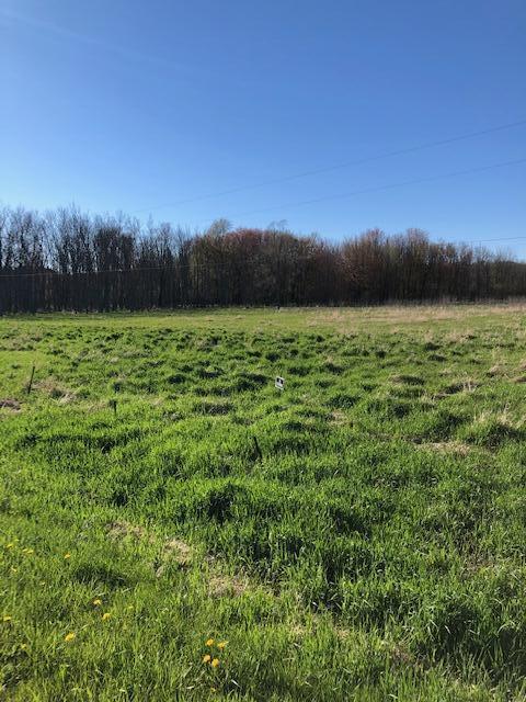 Vl West Webster Road Montague, MI 49437 - Photo 16 of 22 Land 16
