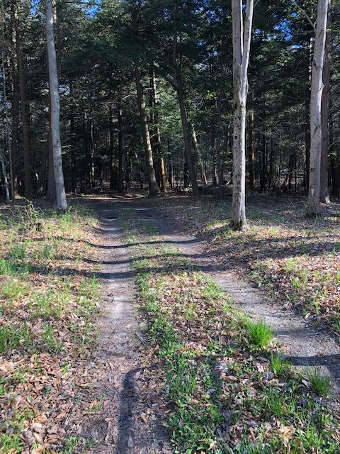 Vl West Webster Road Montague, MI 49437 - Photo 18 of 22 Land 18