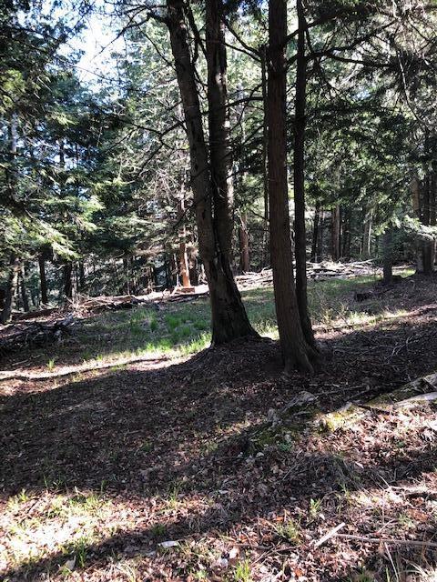 Vl West Webster Road Montague, MI 49437 - Photo 2 of 22 Land 2