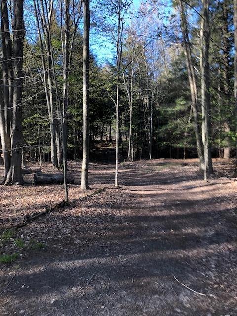 Vl West Webster Road Montague, MI 49437 - Photo 3 of 22 Land 3
