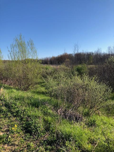 Vl West Webster Road Montague, MI 49437 - Photo 5 of 22 Land 5