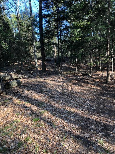 Vl West Webster Road Montague, MI 49437 - Photo 8 of 22 Land 8