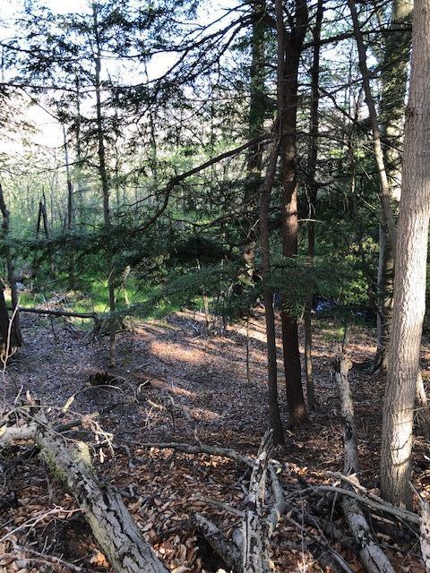 Vl West Webster Road Montague, MI 49437 - Photo 9 of 22 Land 9