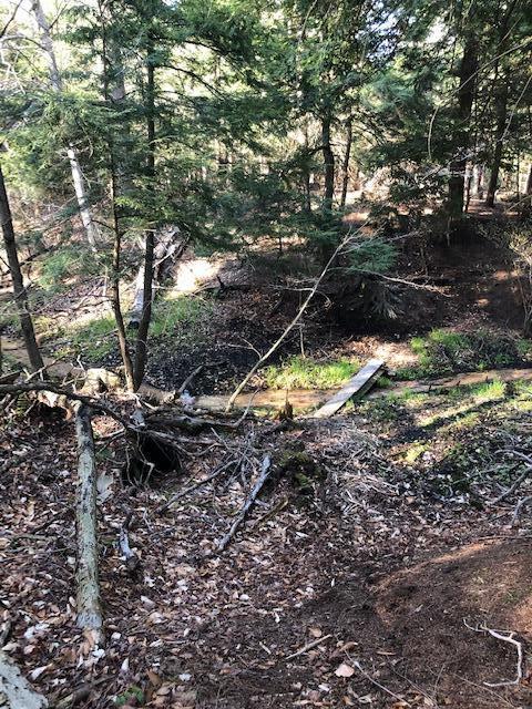 Vl West Webster Road Montague, MI 49437 - Photo 10 of 22 Land 10