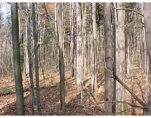 Lot 3 Cutler Road Barre, MA 01005 - Photo 1 of 1 Gallery Image 1