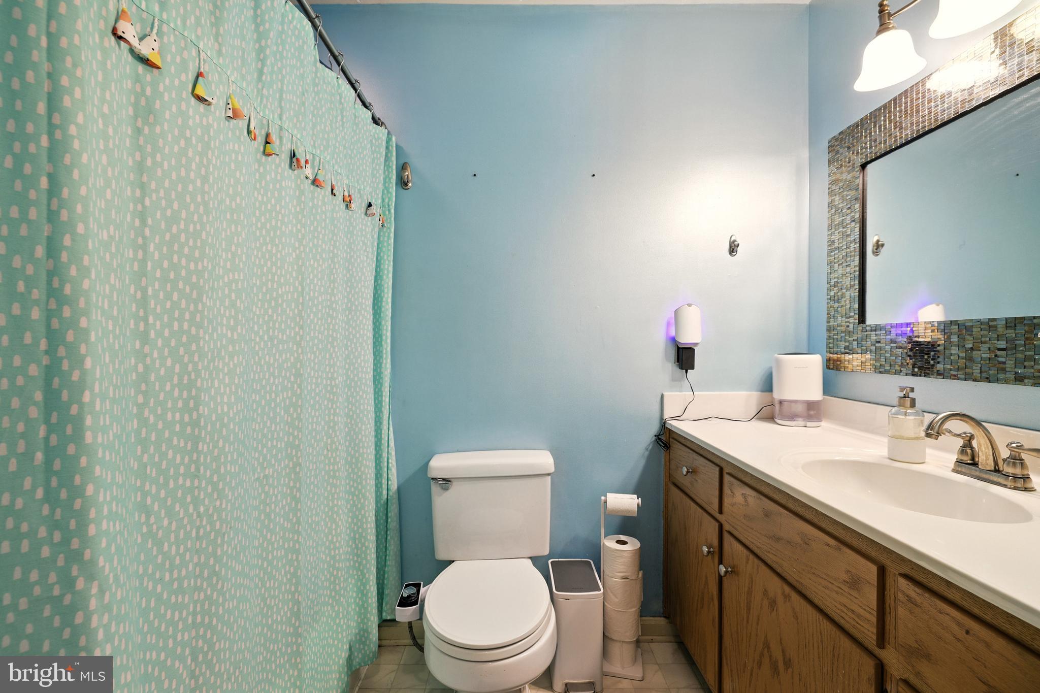859 Colley Block Road Strasburg, VA 22657 - Photo 36 of 52 a bathroom with a sink a toilet and shower