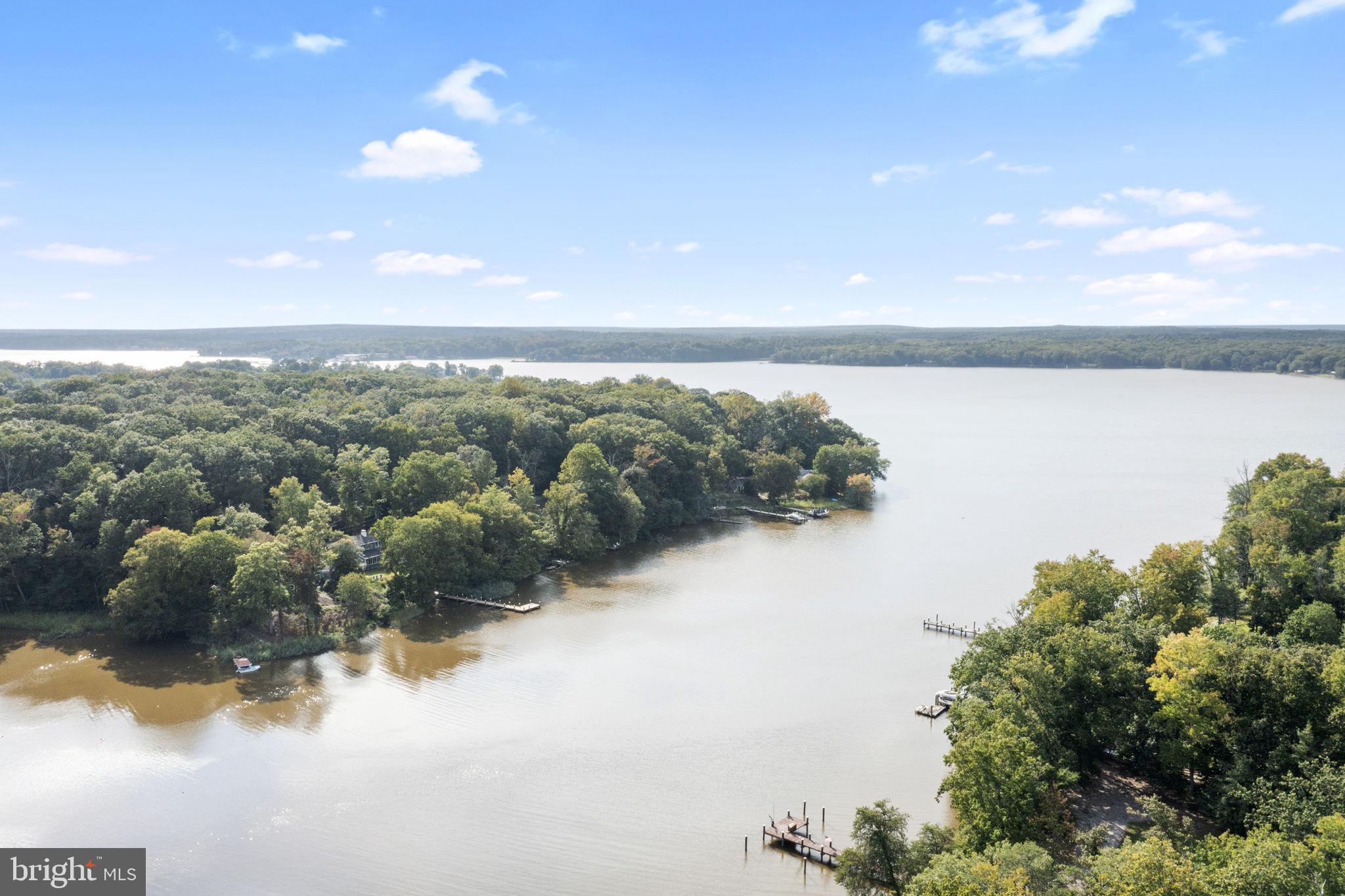 139 Knollwood Road Elkton, MD 21921 - Photo 49 of 57 a view of a lake in middle of forest