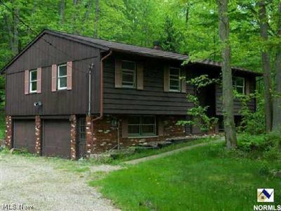 10854 Butternut Road Chesterland, OH 44026 - Photo 1 of 1