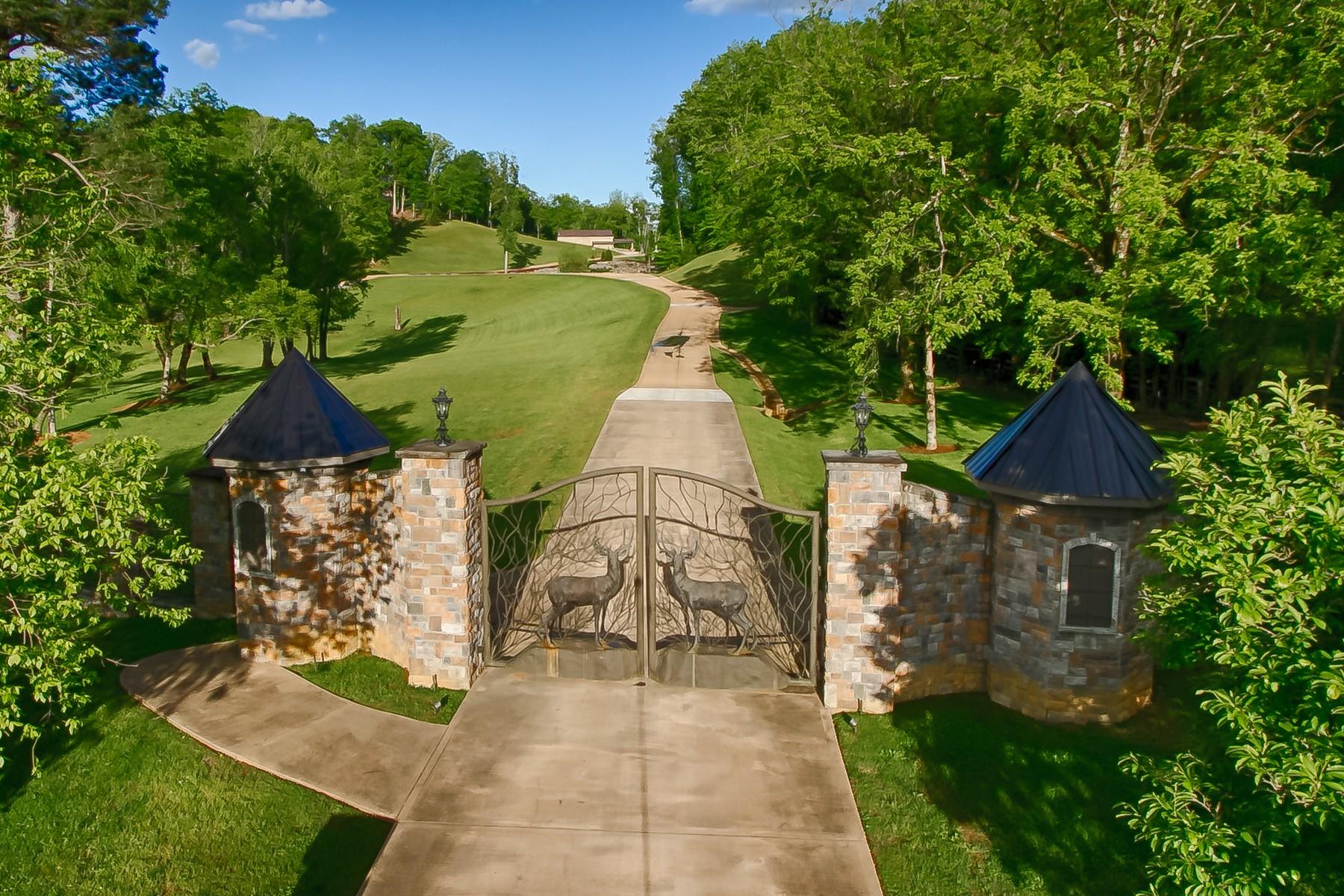 502 Browns Ferry Road Chattanooga, TN 37419 - Photo 10 of 11 39_IMG_9875_HDR