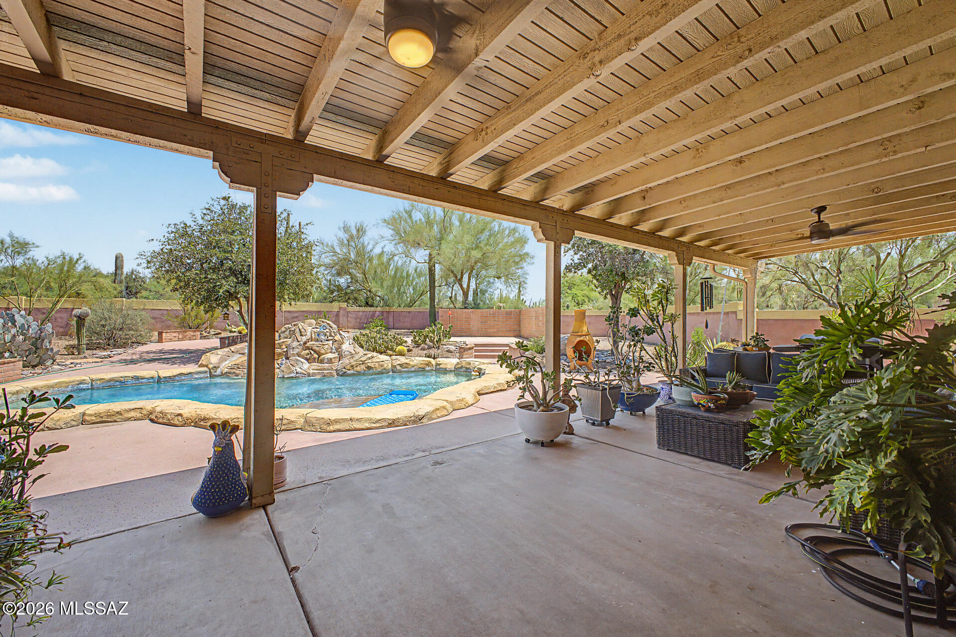 10909 North Sandra Road Tucson, AZ 85742 - Photo 38 of 50 Back Patio