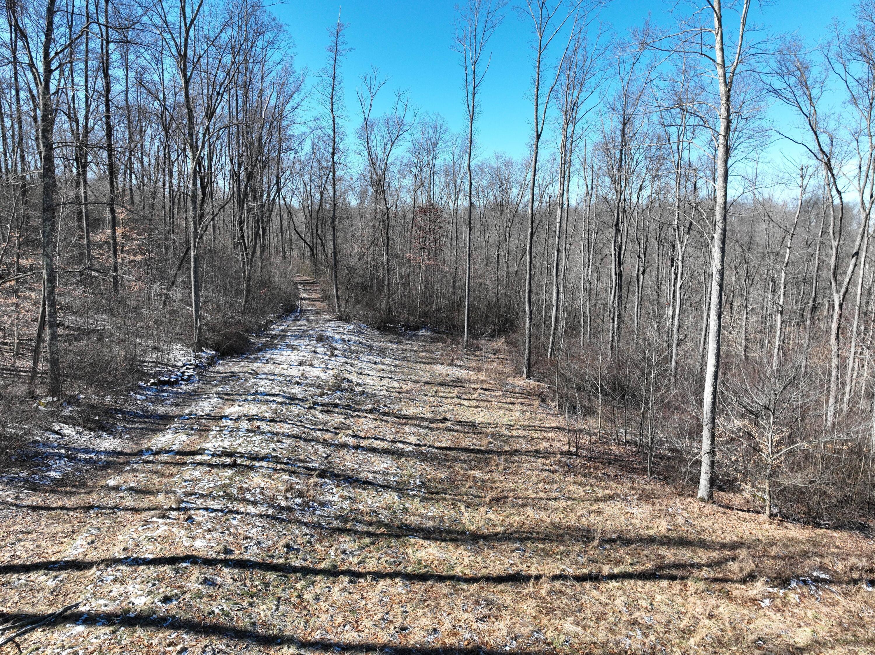 0 McKee Road McArthur, OH 45651 - Photo 7 of 19 DJI_0921
