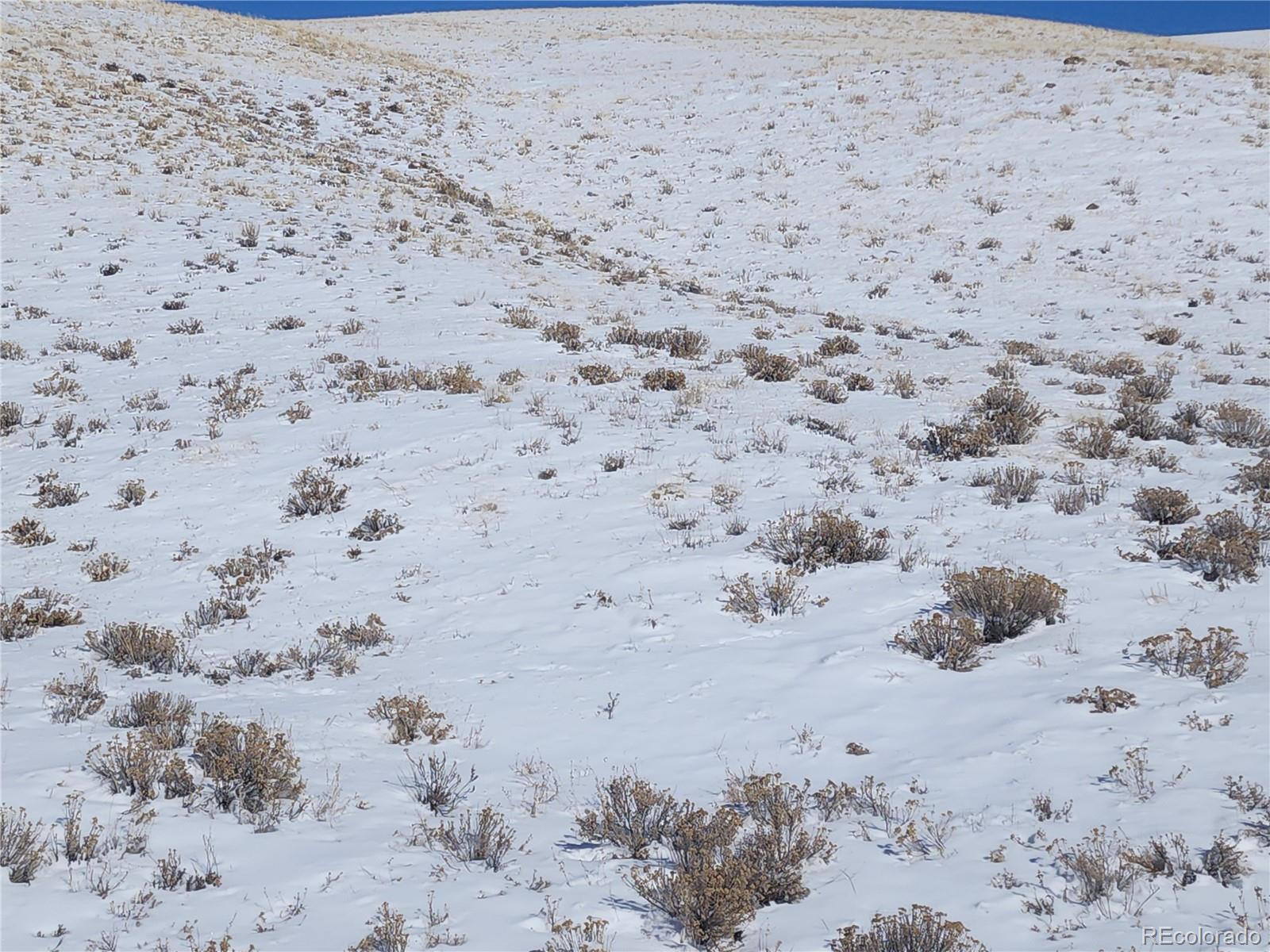 Santee Trail Hartsel, CO 80449 - Photo 4 of 9