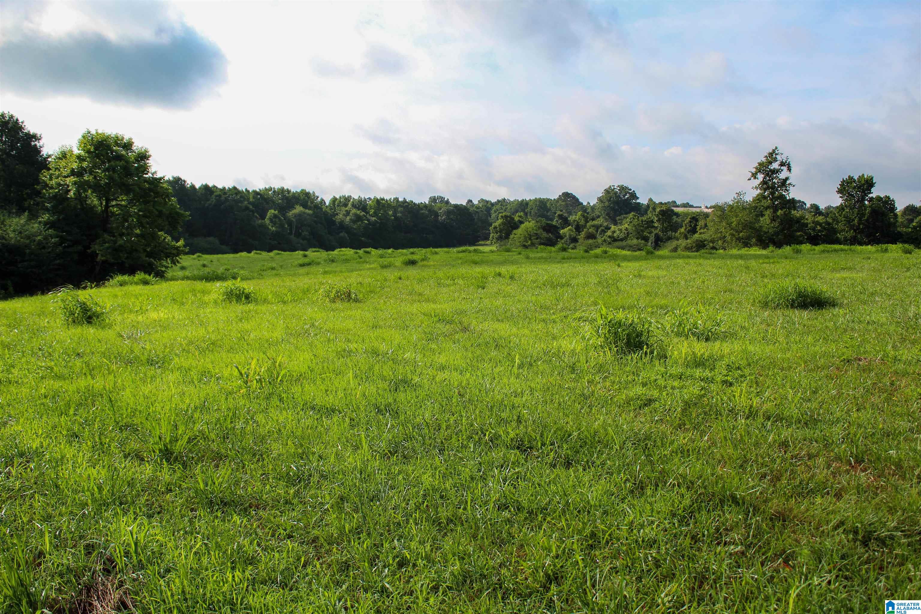 3597 Sardis-Airport Road Addison, AL 35540 - Photo 59 of 65