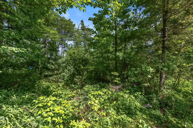 $299,000 | 14288 West Poplar Avenue, Hayward, WI 54843