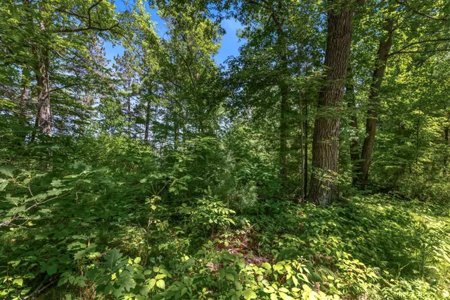 $299,000 | 14288 West Poplar Avenue, Hayward, WI 54843