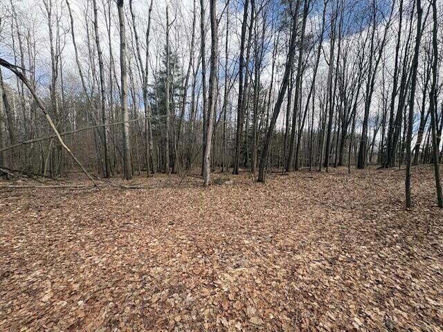 4 4 Mile Road Evart, MI 49631 - Photo 16 of 30