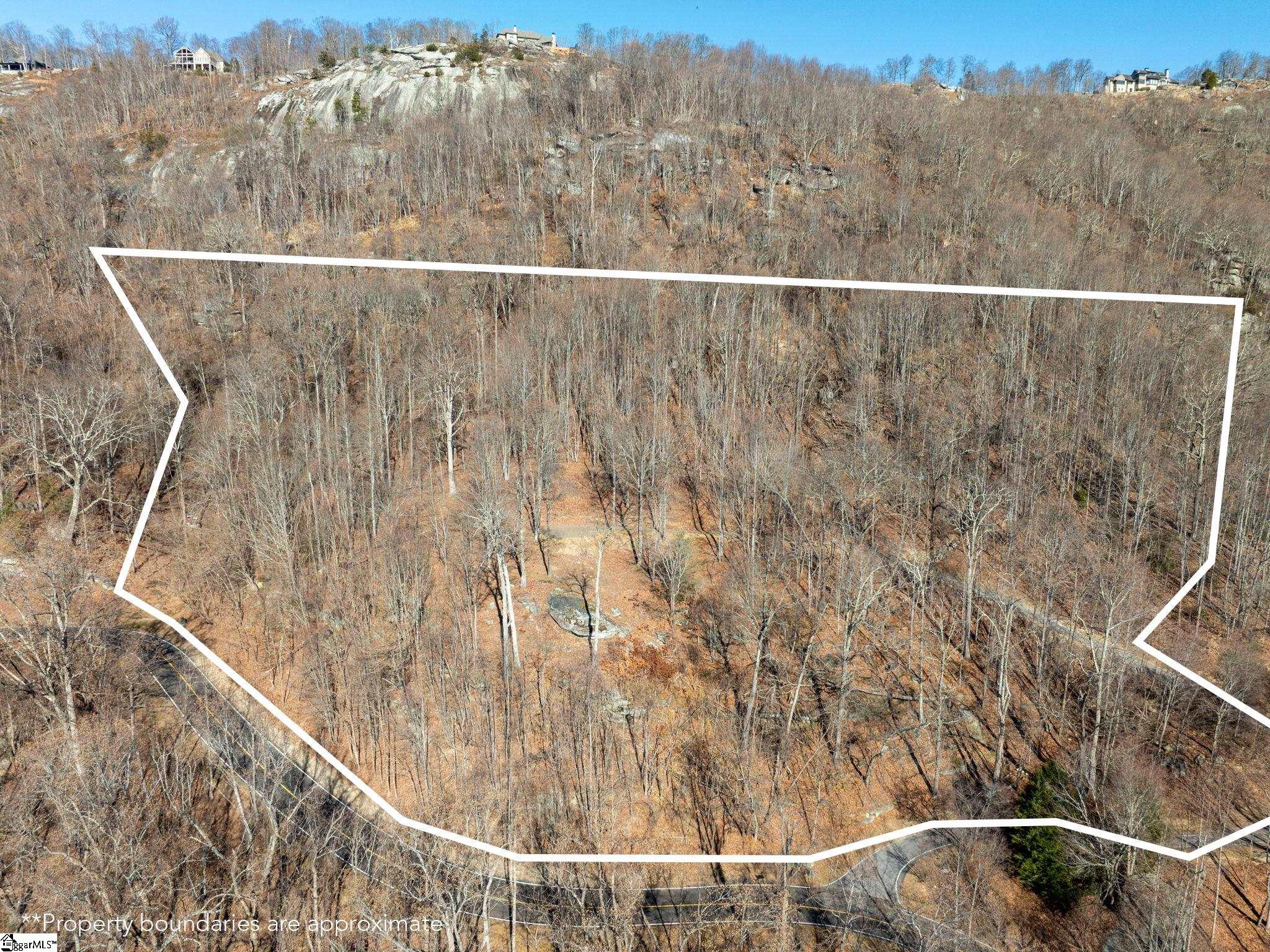 225 Lost Trail Drive Landrum, SC 29356 - Photo 12 of 14