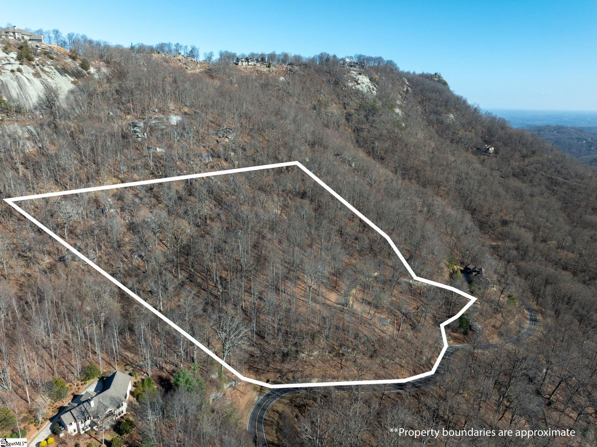 225 Lost Trail Drive Landrum, SC 29356 - Photo 2 of 14