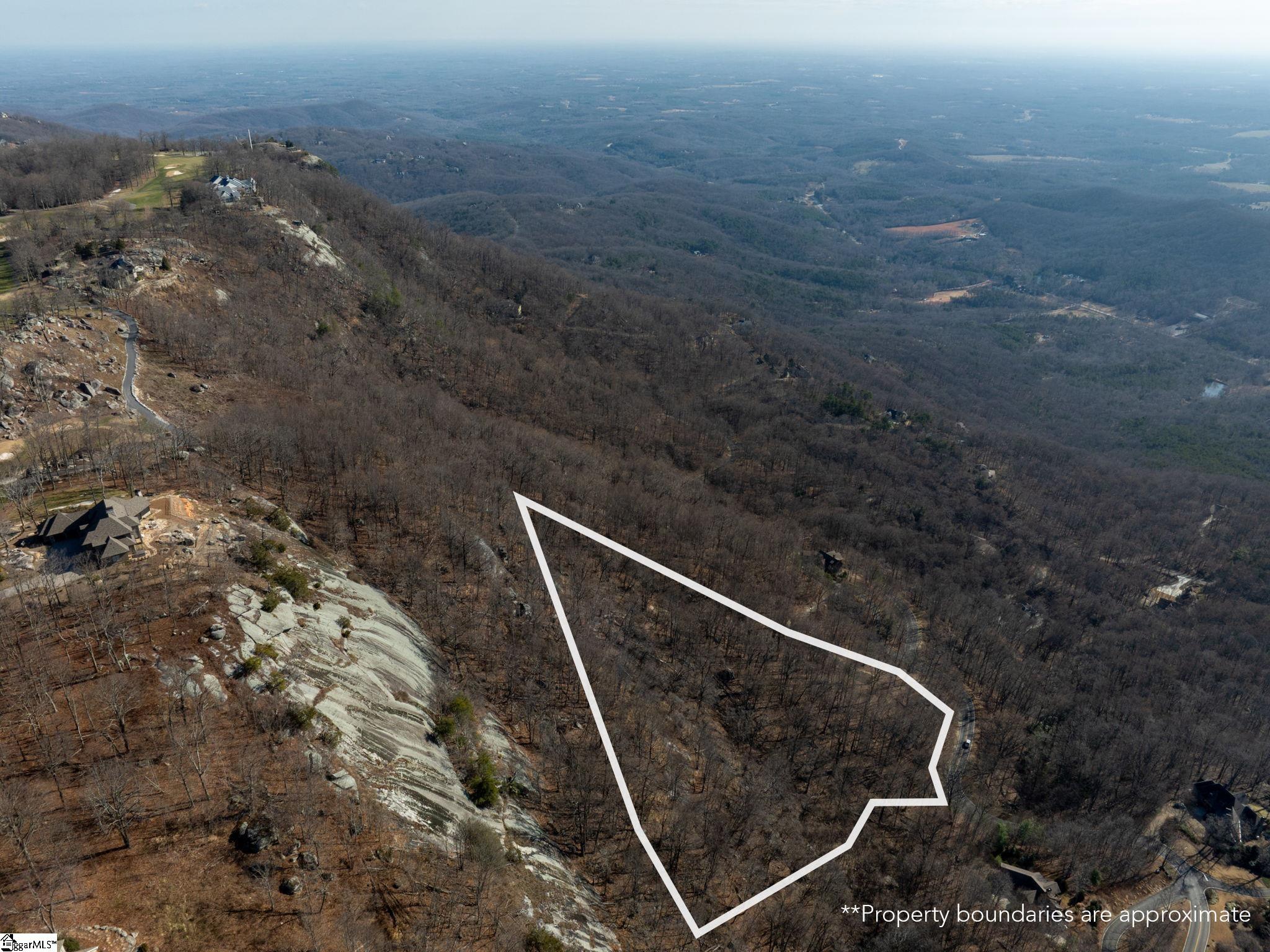 225 Lost Trail Drive Landrum, SC 29356 - Photo 3 of 14