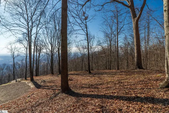 $455,000 | 225 Lost Trail Drive, Landrum, SC 29356