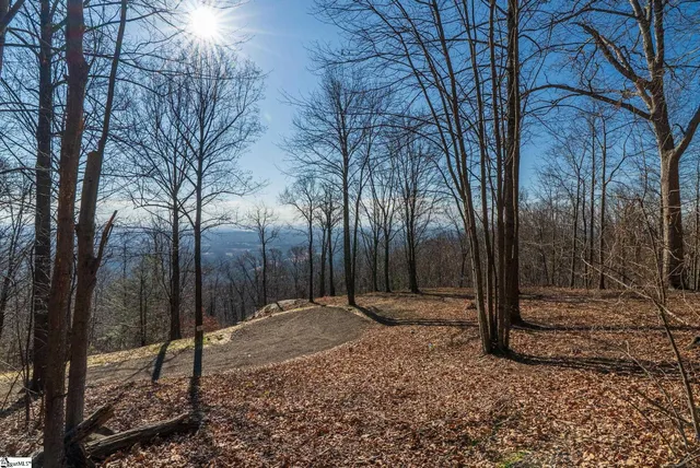 $455,000 | 225 Lost Trail Drive, Landrum, SC 29356