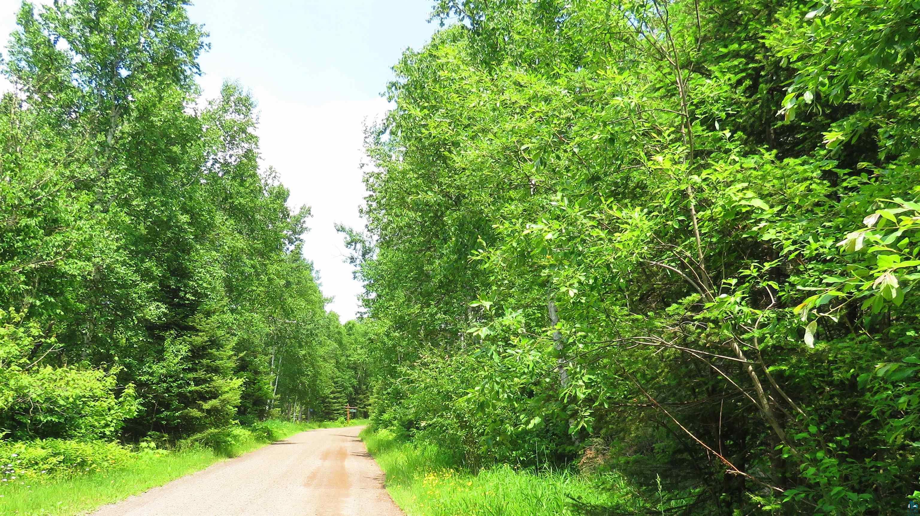 X7 North Caps Trail Lutsen, MN 55612 - Photo 12 of 49