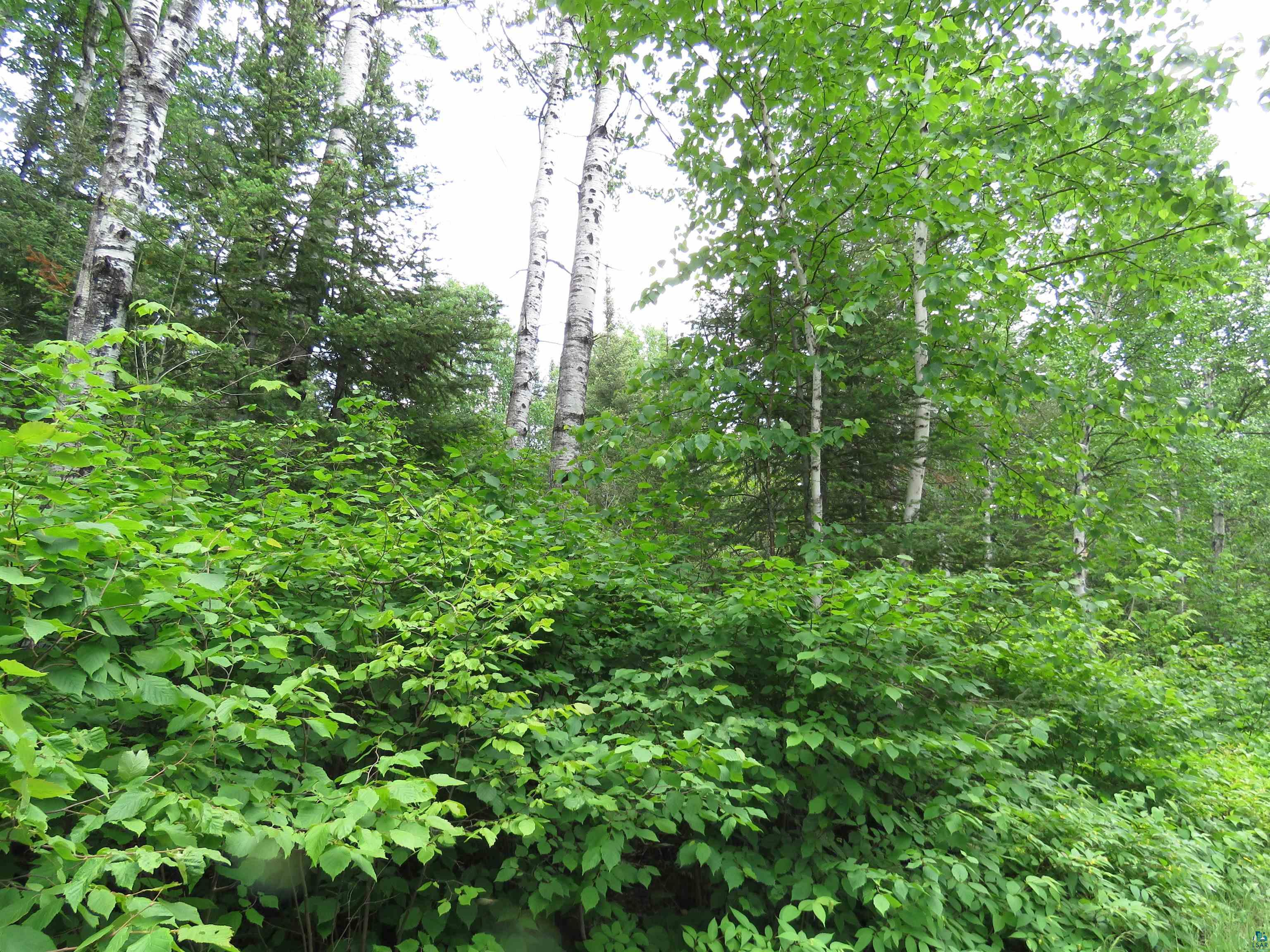 X7 North Caps Trail Lutsen, MN 55612 - Photo 14 of 49