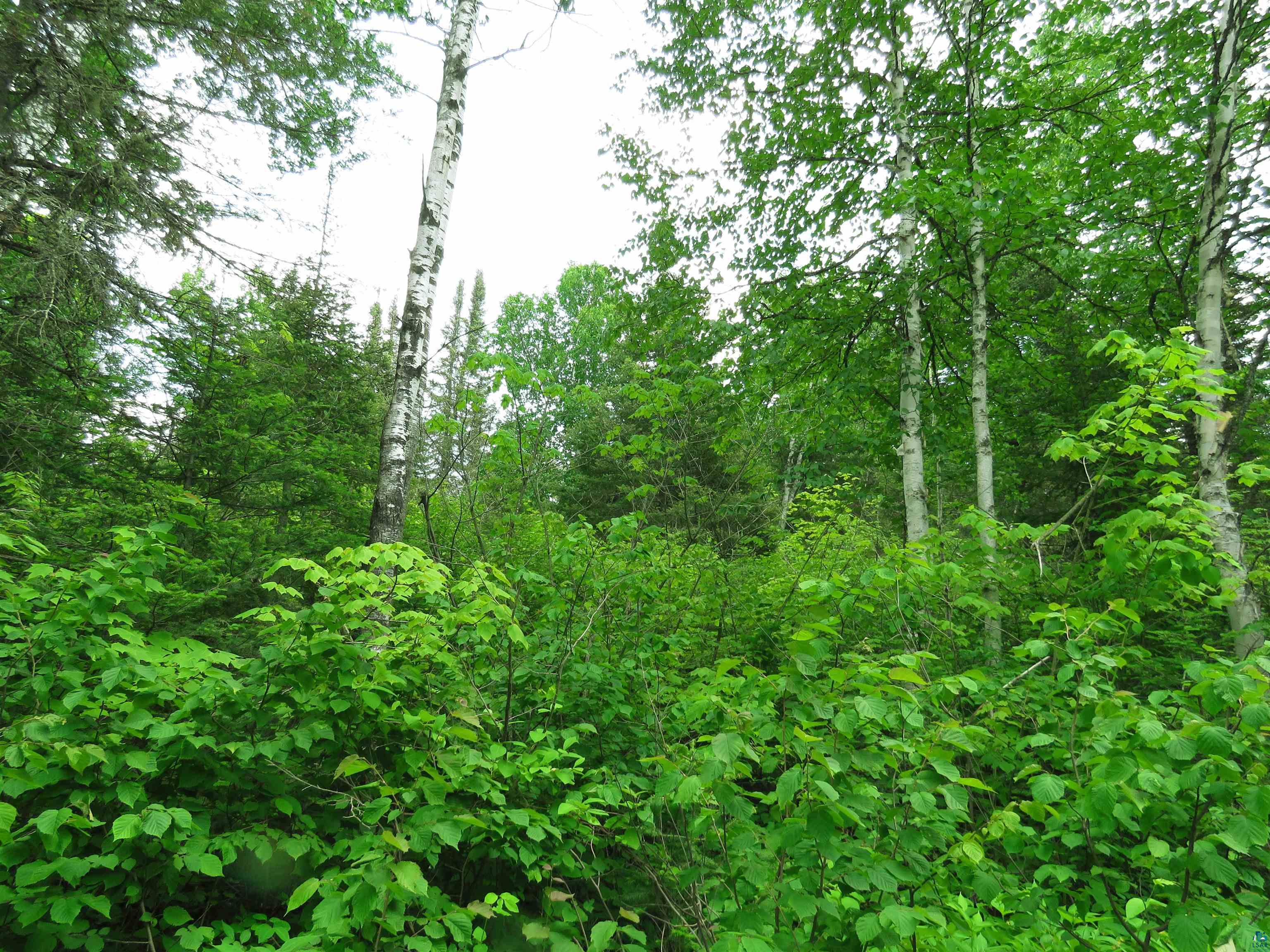 X7 North Caps Trail Lutsen, MN 55612 - Photo 15 of 49