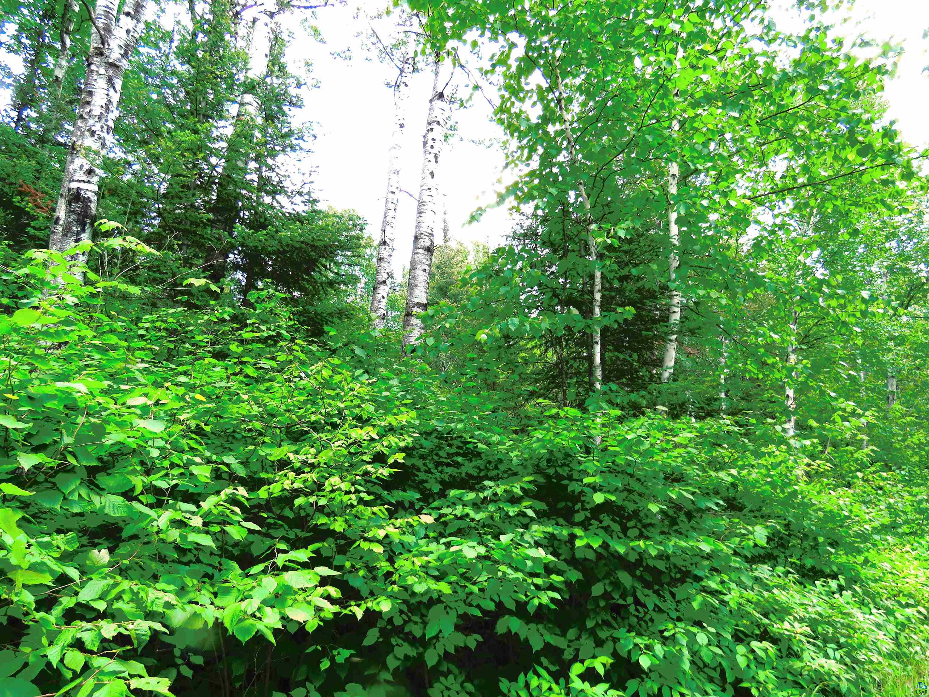 X7 North Caps Trail Lutsen, MN 55612 - Photo 23 of 49