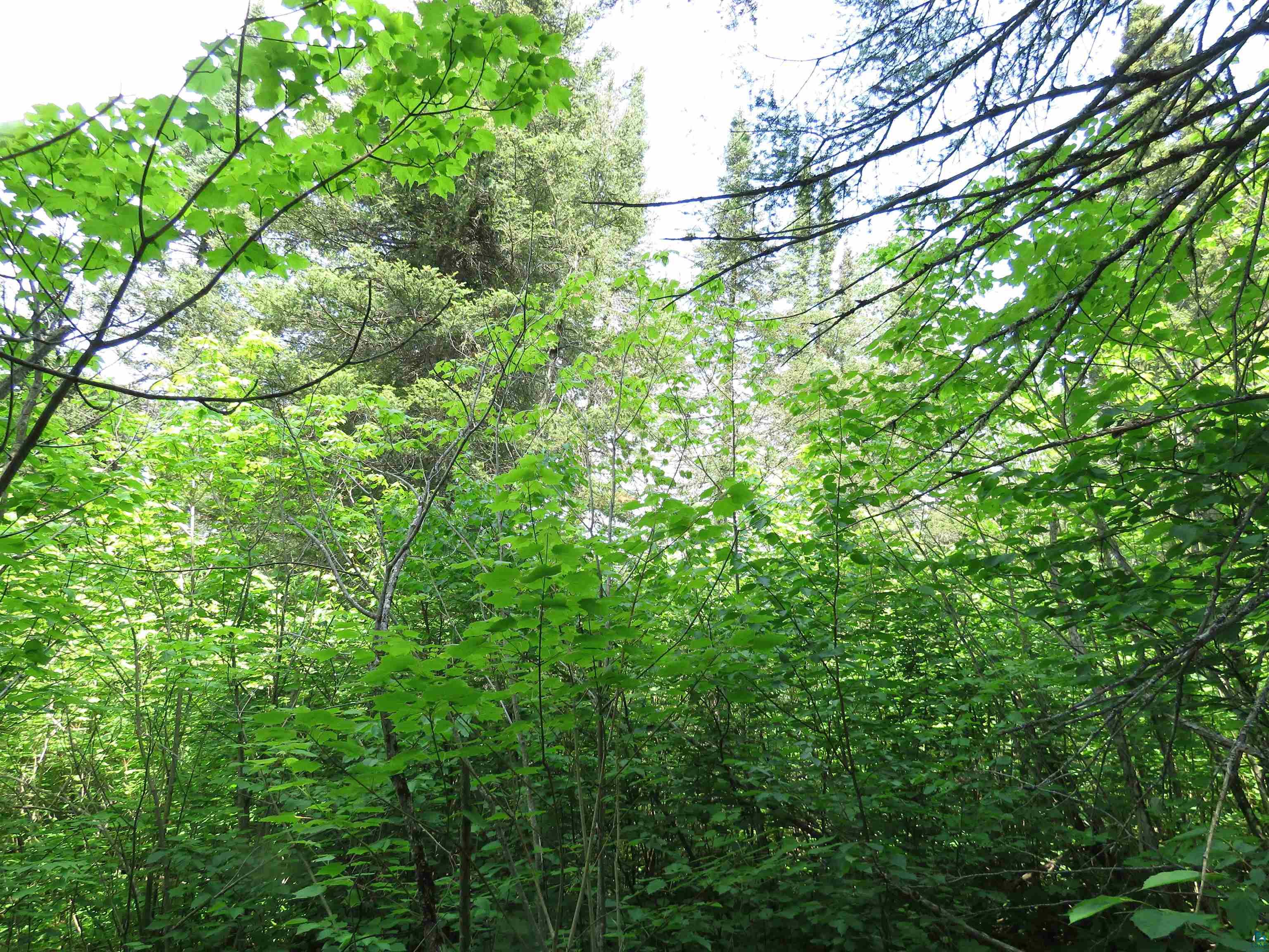 X7 North Caps Trail Lutsen, MN 55612 - Photo 27 of 49