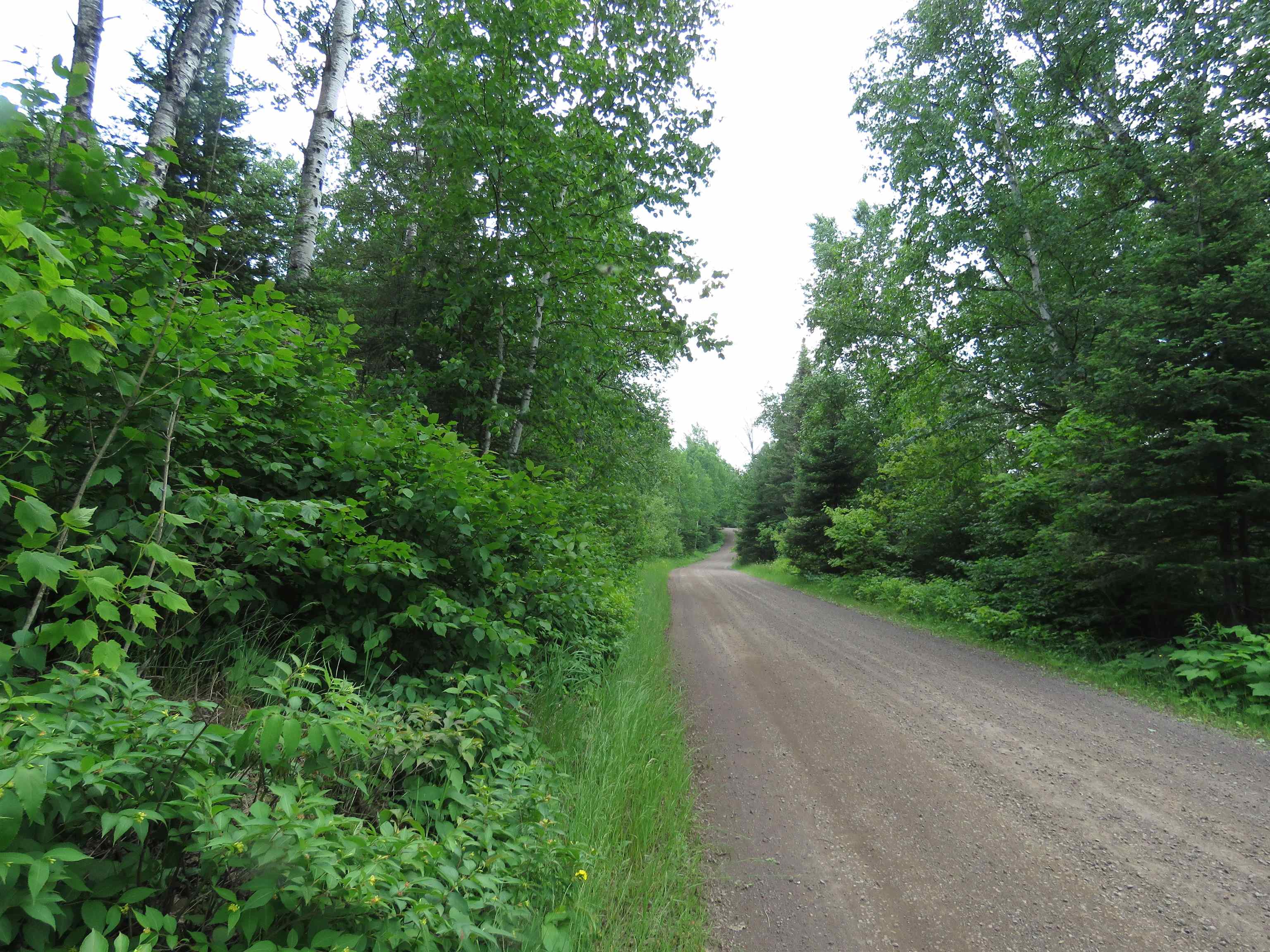 X7 North Caps Trail Lutsen, MN 55612 - Photo 40 of 49