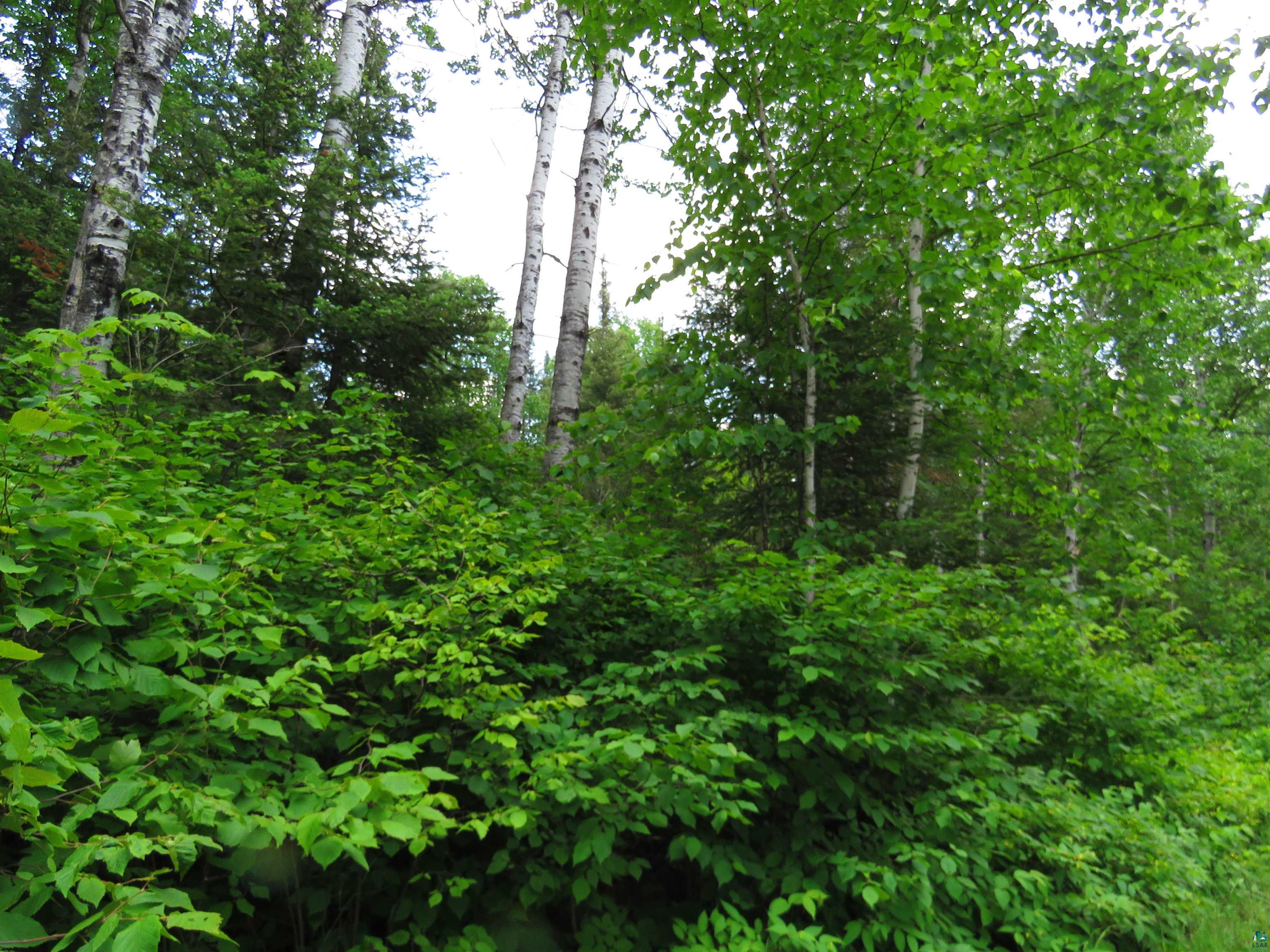 X7 North Caps Trail Lutsen, MN 55612 - Photo 41 of 49