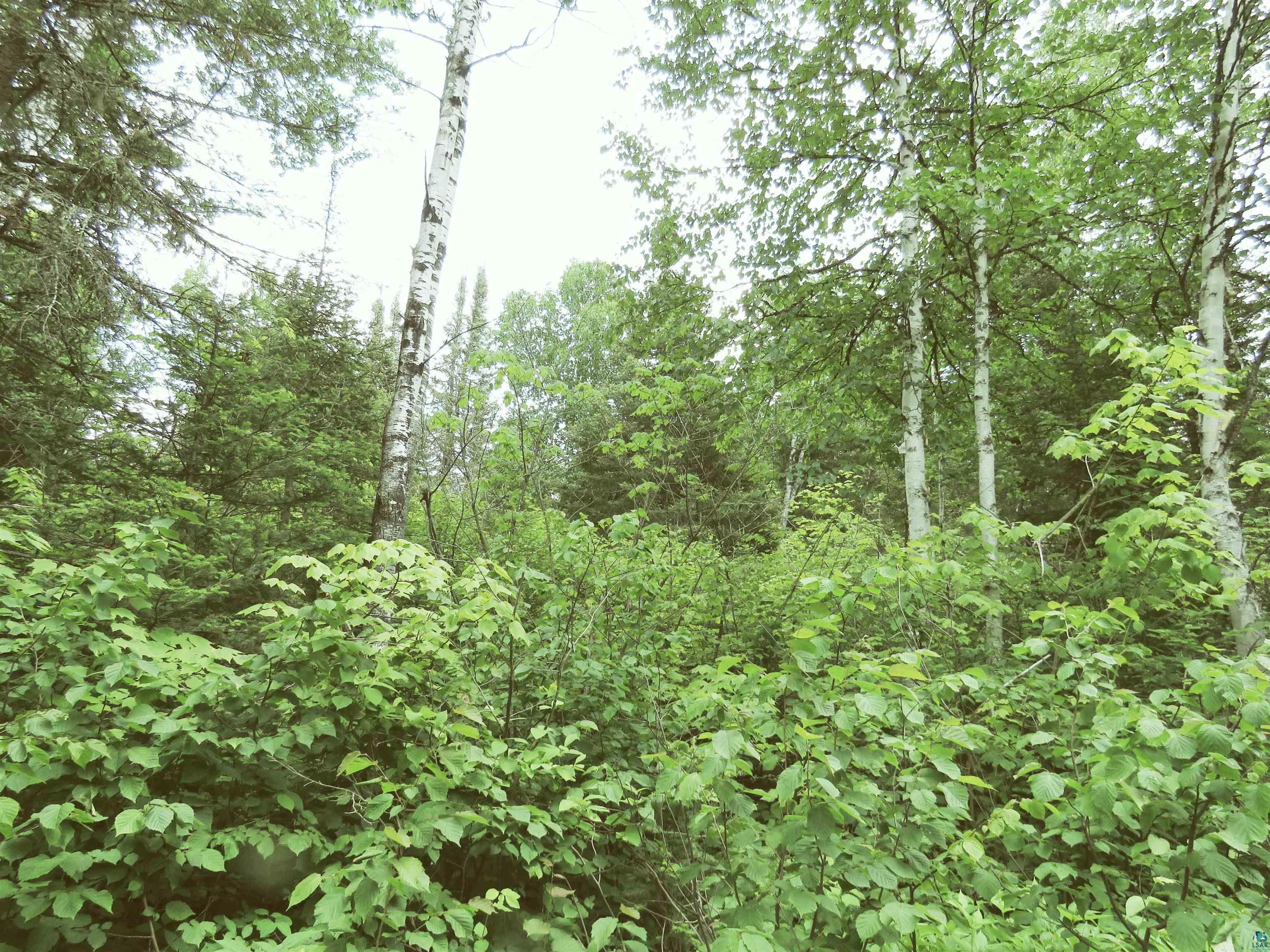 X7 North Caps Trail Lutsen, MN 55612 - Photo 42 of 49
