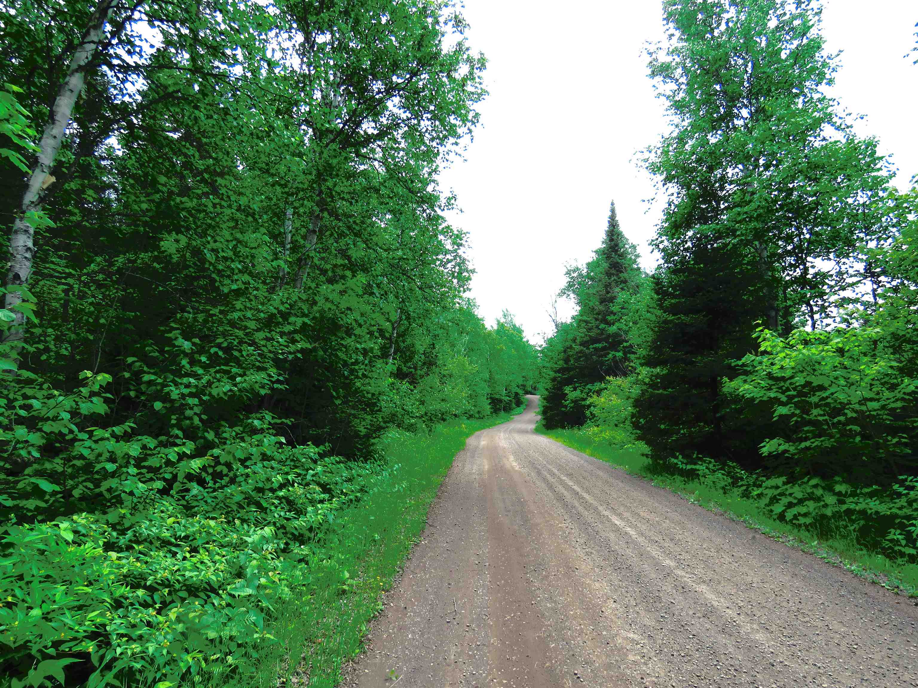 X7 North Caps Trail Lutsen, MN 55612 - Photo 43 of 49