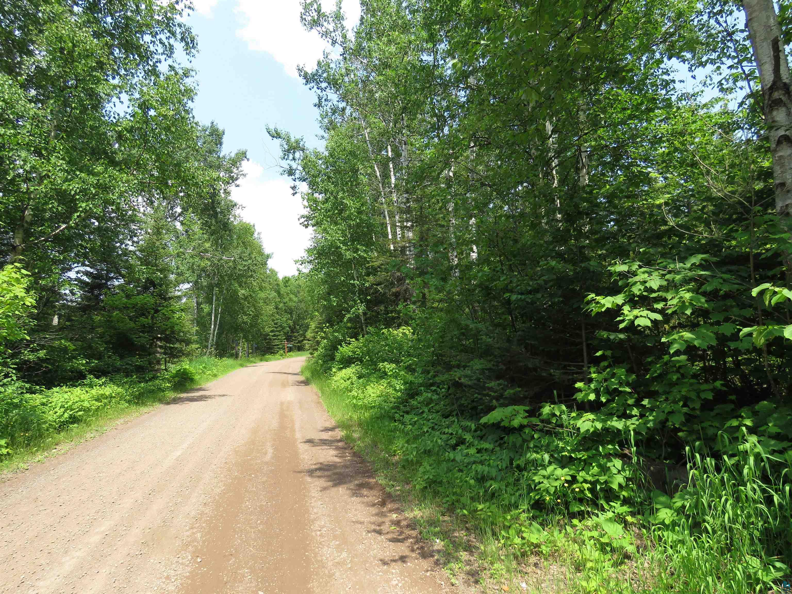 X7 North Caps Trail Lutsen, MN 55612 - Photo 45 of 49