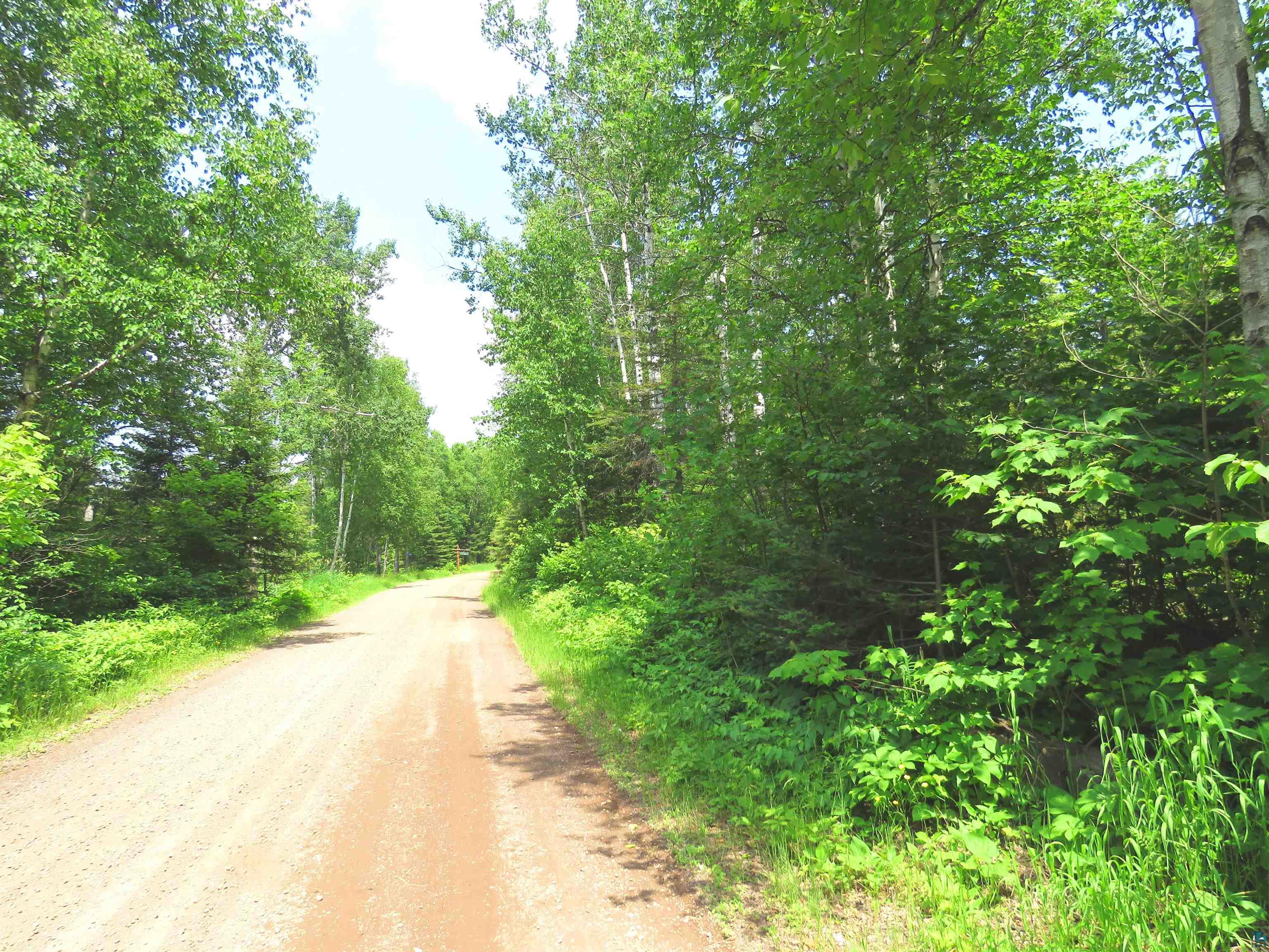 X7 North Caps Trail Lutsen, MN 55612 - Photo 46 of 49