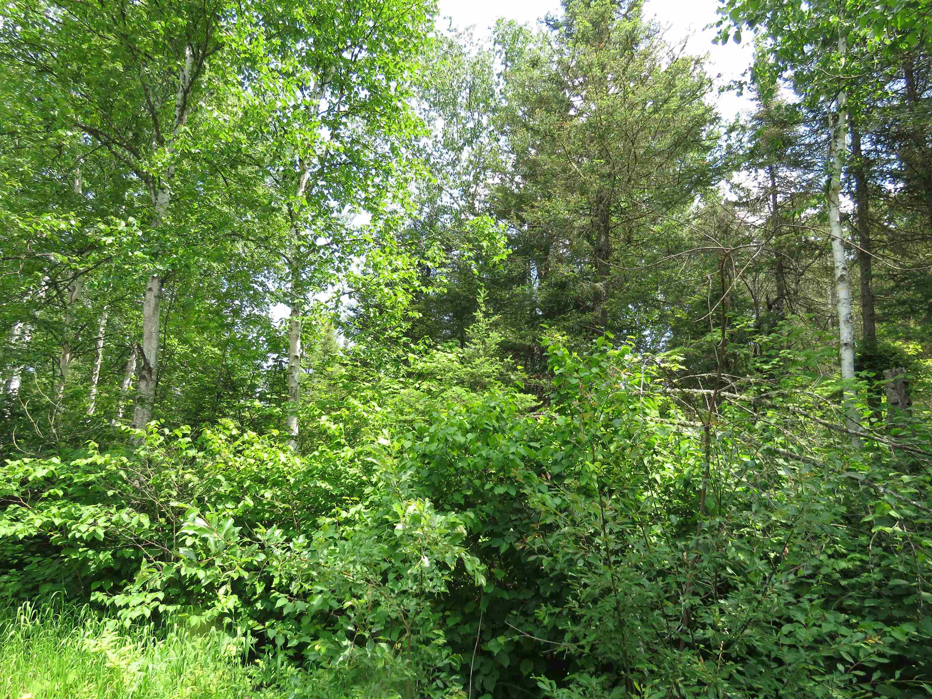 X7 North Caps Trail Lutsen, MN 55612 - Photo 47 of 49