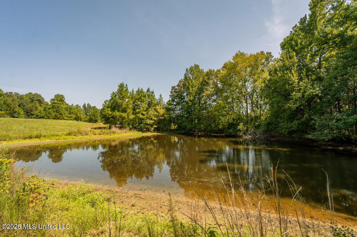 5056 Bethesda Road Crystal Springs, MS 39059 - Photo 26 of 48 DSC01797
