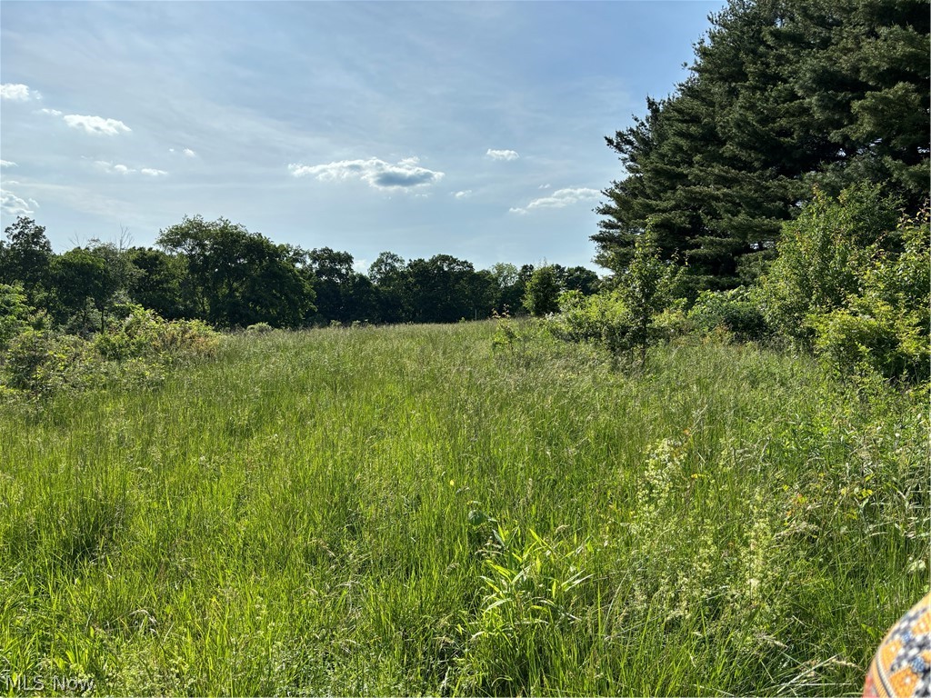 Mcglade School Road Dresden, OH 43821 - Photo 1 of 5 View of mother earth's splendor