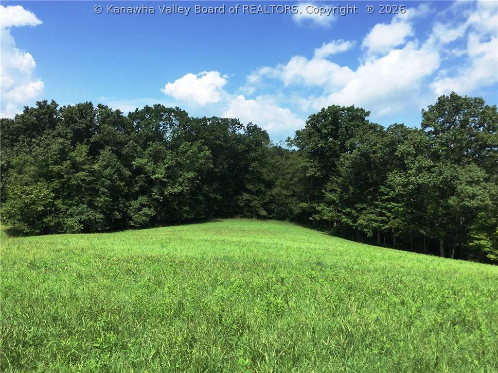 0 Kellys Creek Road, Unit 2 Poca, WV 25159 - Photo 2 of 9 Gallery Image 2
