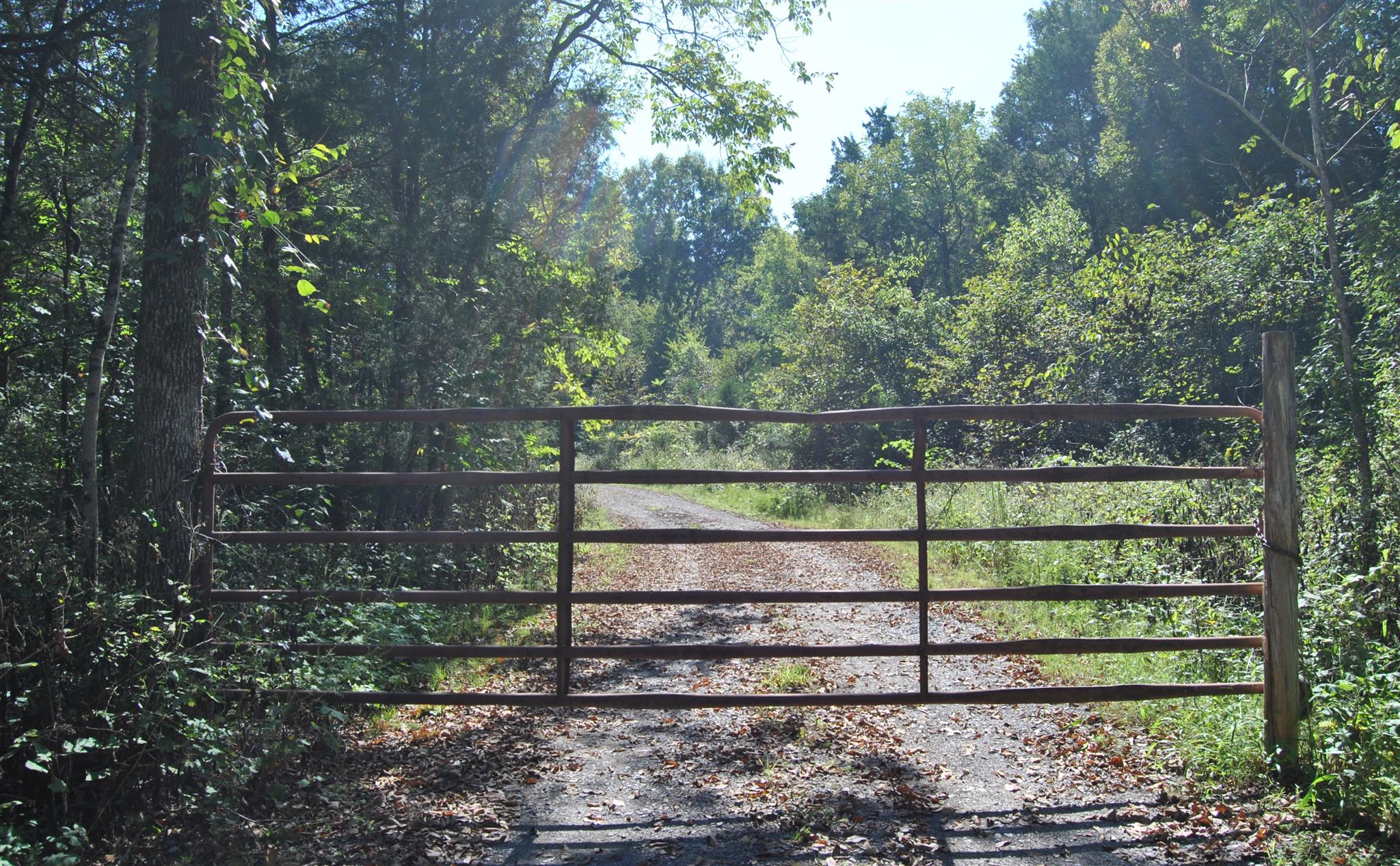 7850 Dunaway Chapel Road Lascassas, TN 37085 - Photo 2 of 27 Gallery Image 2