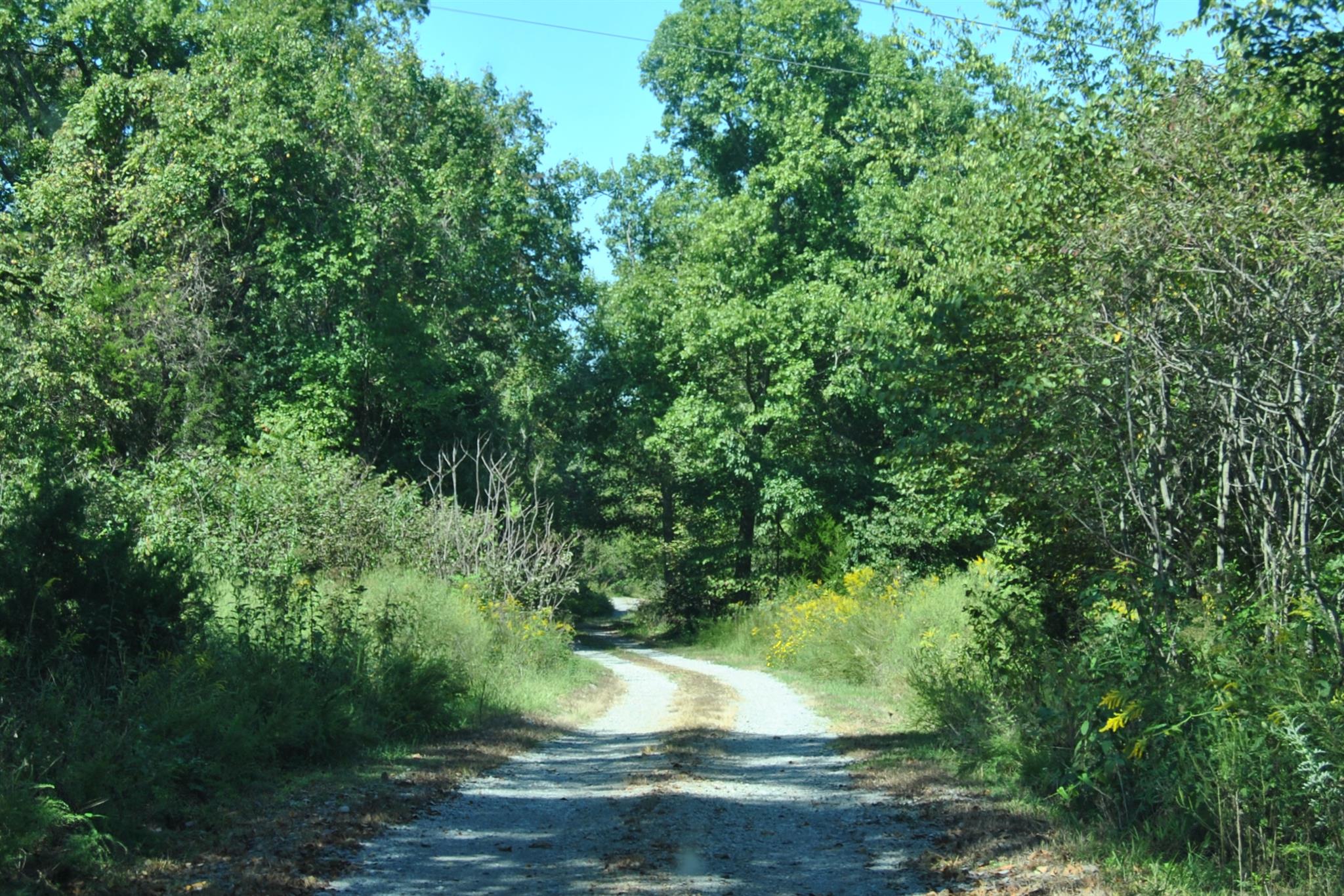 7850 Dunaway Chapel Road Lascassas, TN 37085 - Photo 3 of 27 Gallery Image 3