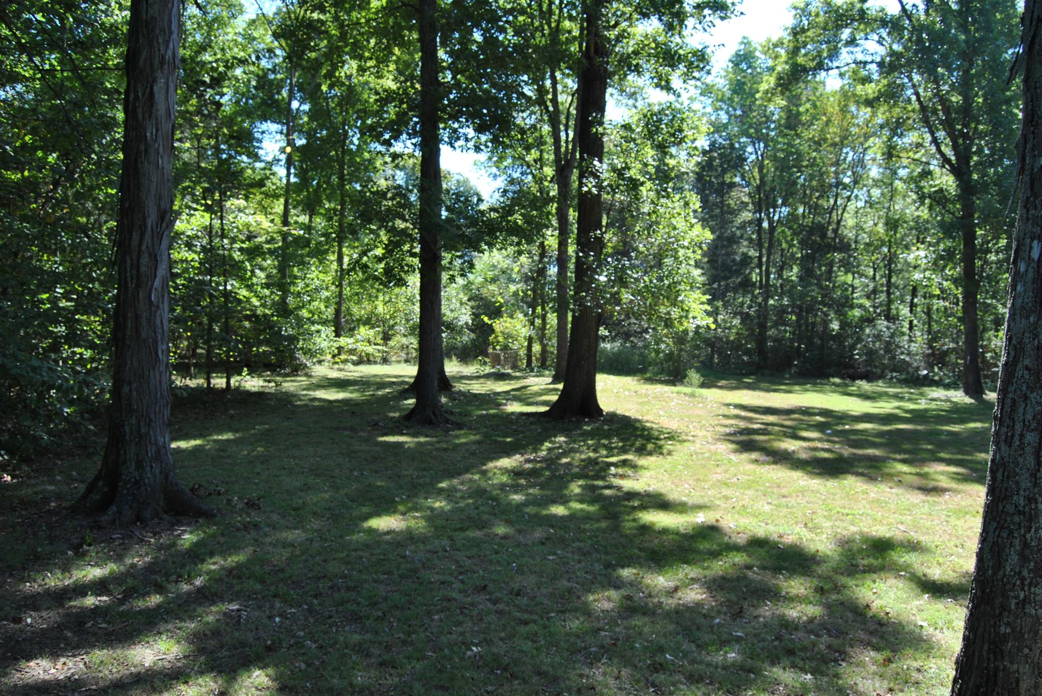 7850 Dunaway Chapel Road Lascassas, TN 37085 - Photo 8 of 27 Gallery Image 8
