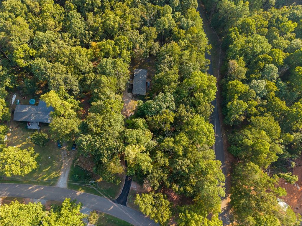 81 Cherokee Trail Ball Ground, GA 30107 - Photo 10 of 43 Gallery Image 10