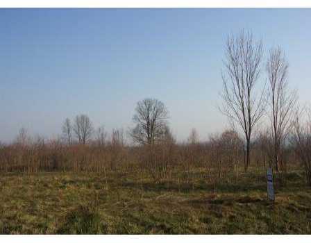 Florek Road Edinboro, PA 16412 - Photo 1 of 1 Land.