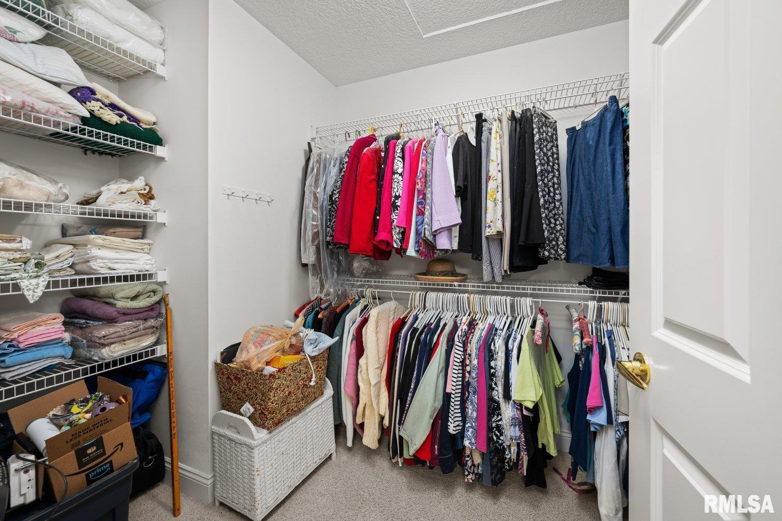 451 Celeste Circle Blue Grass, IA 52726 - Photo 19 of 35 a view of walk in closet with clothes and shoes